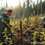 How to Apply for Forestry Successor Training Program